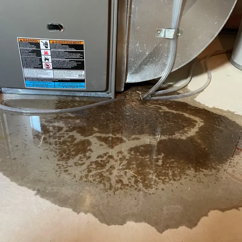 Appliance Leak Cleanup in Vicksburg, MS